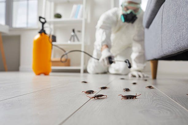 Post-Treatment Bed Bug Interceptor Monitoring in Park View