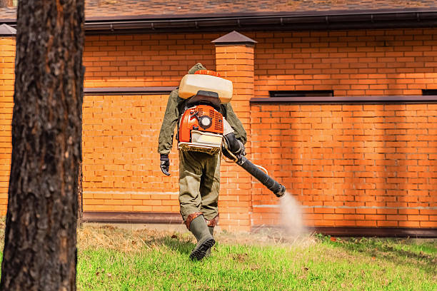 Bed Bug Clearance Verification and Documentation in Park View
